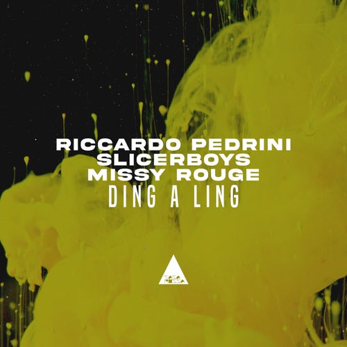 Riccardo Pedrini, Slicerboys, Missy Rouge - Ding a Ling [CR2346]